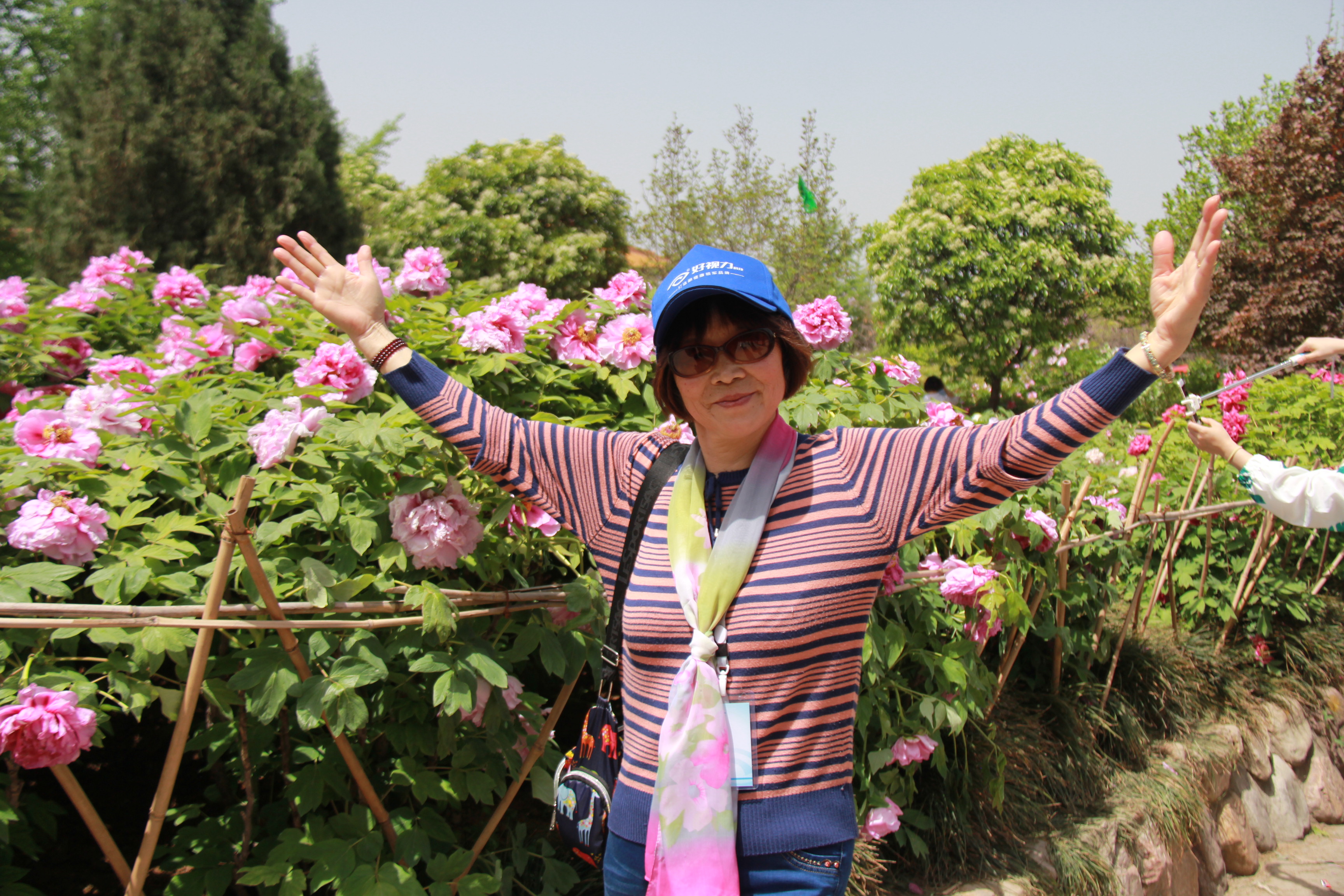 人妻系列无码专区69影院