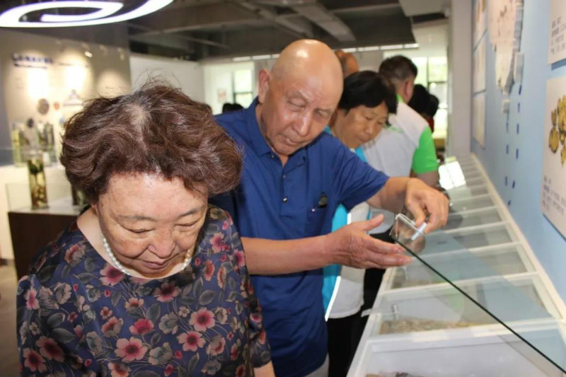 人妻系列无码专区69影院