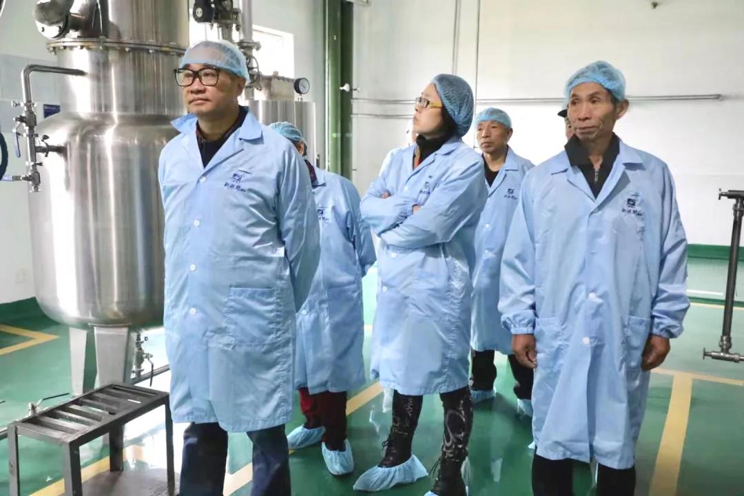 眼贴生产高标准、严要求原来是这样的