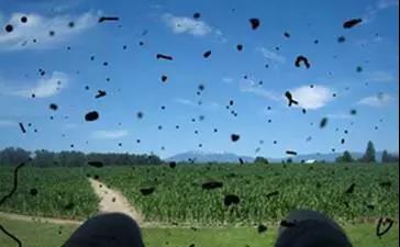 人妻系列无码专区69影院