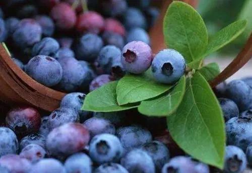 人妻系列无码专区69影院