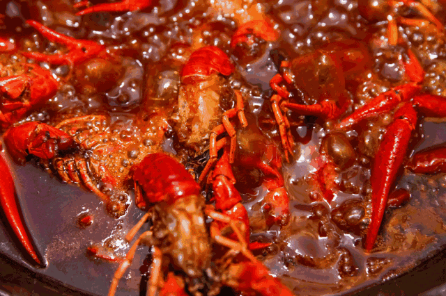 人妻系列无码专区69影院