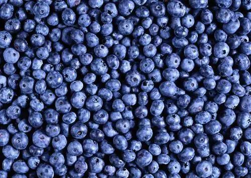 人妻系列无码专区69影院