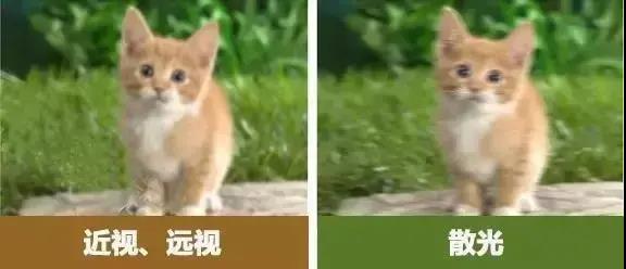 人妻系列无码专区69影院