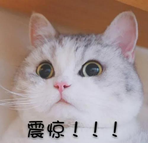 人妻系列无码专区69影院