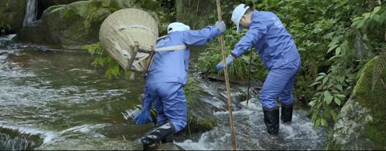 人妻系列无码专区69影院