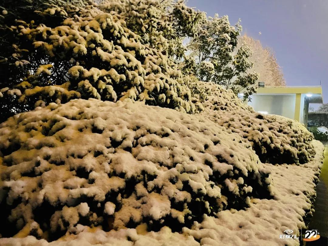 人妻系列无码专区69影院