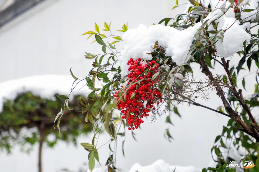 人妻系列无码专区69影院