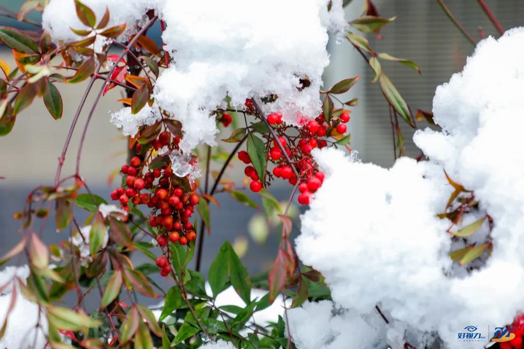 人妻系列无码专区69影院