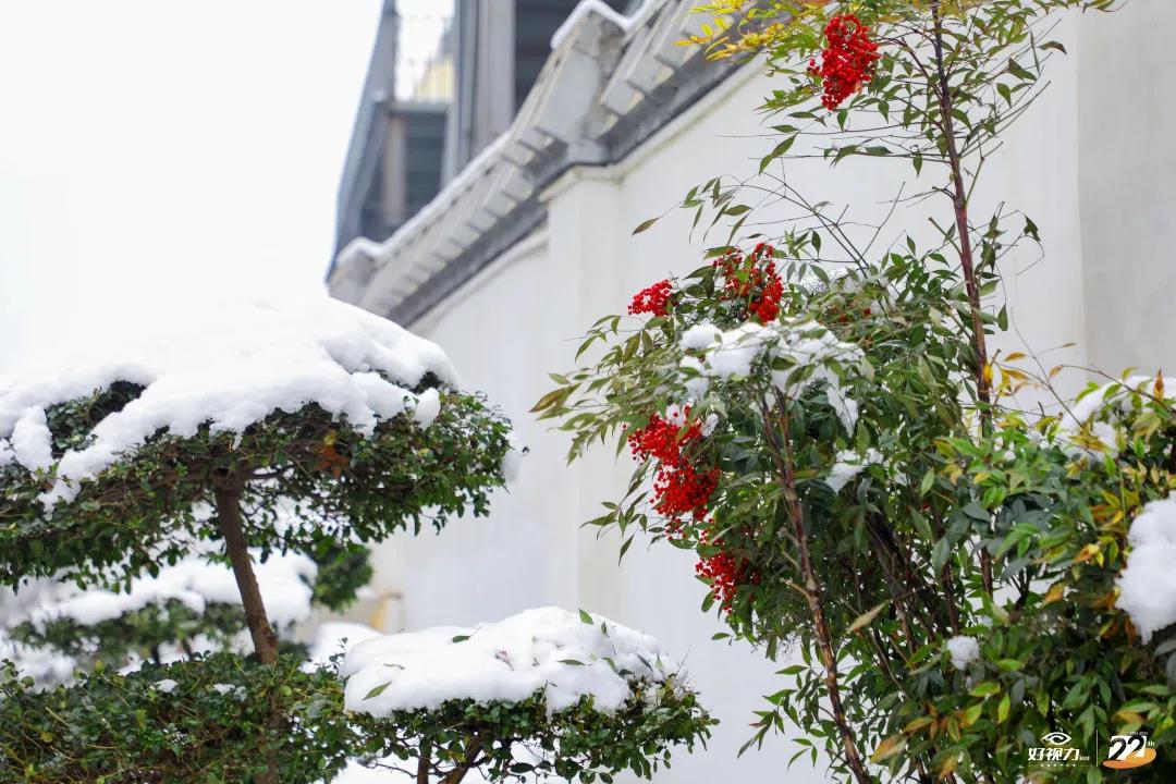 人妻系列无码专区69影院