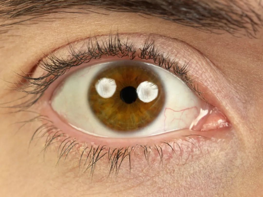 人妻系列无码专区69影院