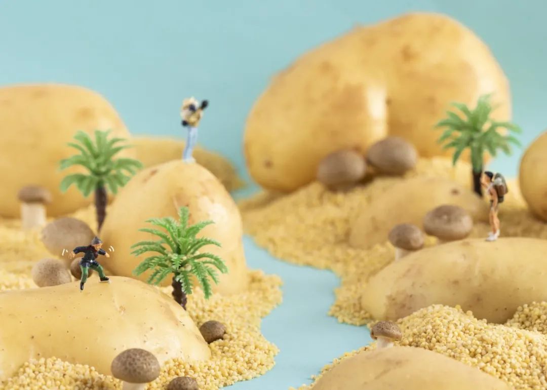 人妻系列无码专区69影院