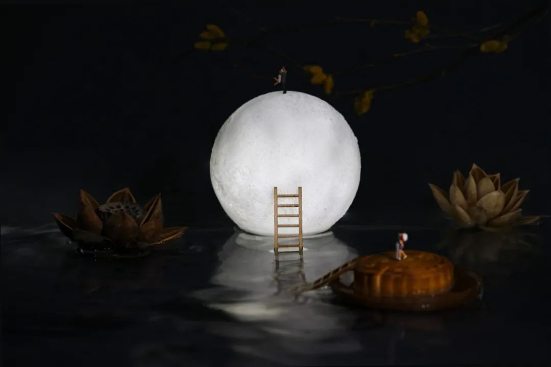 人妻系列无码专区69影院