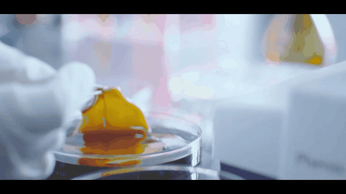 人妻系列无码专区69影院