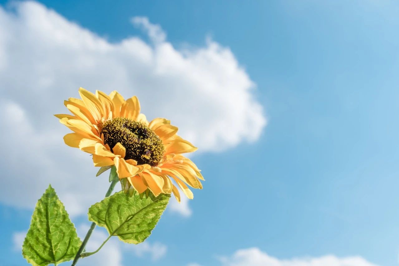 人妻系列无码专区69影院