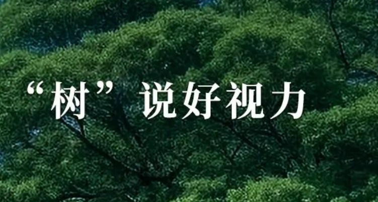 种守护眼健康的“参天大树”!