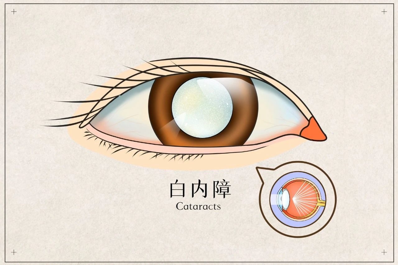 人妻系列无码专区69影院