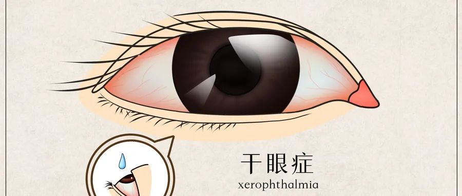 人妻系列无码专区69影院